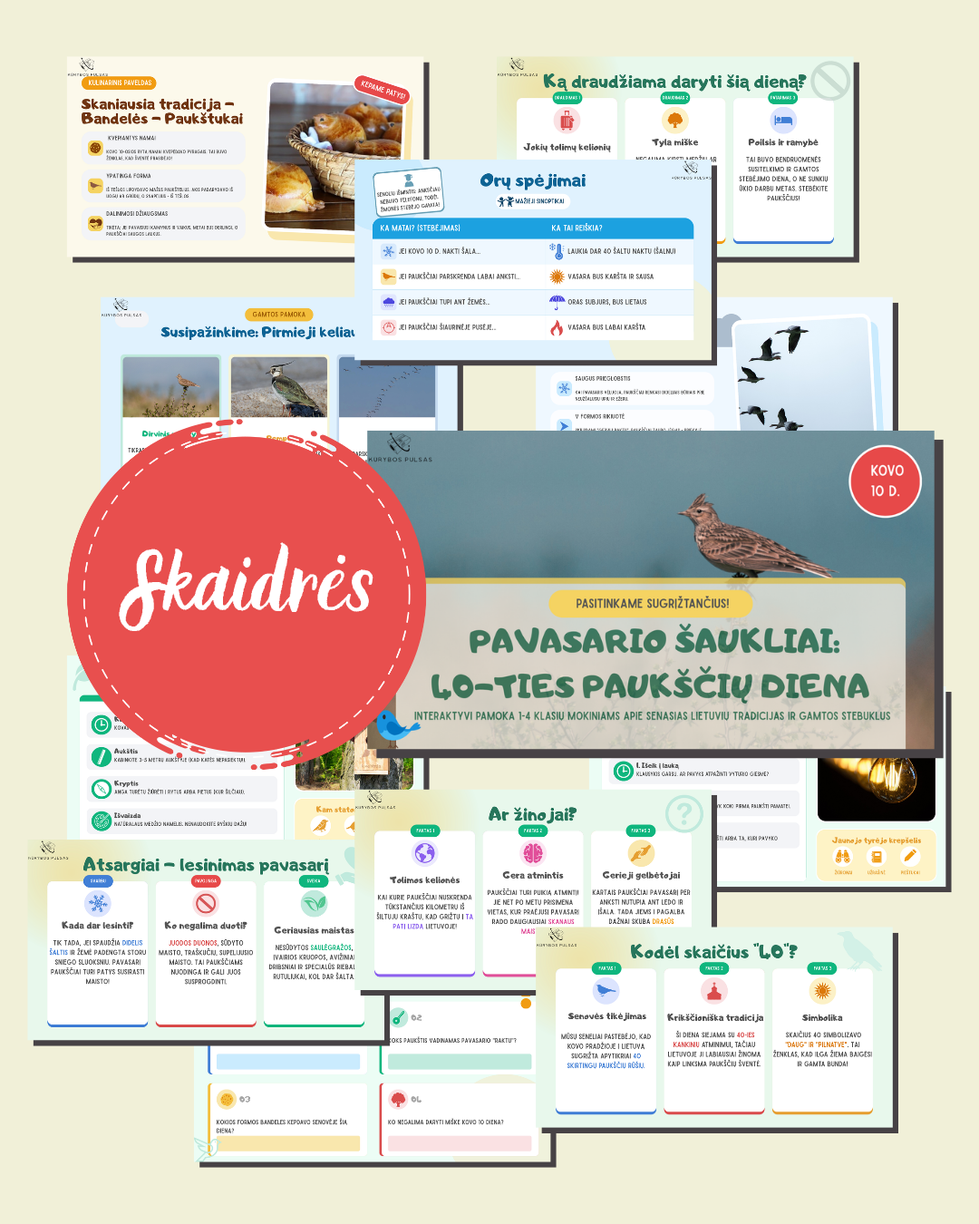 Pavasario šaukliai: 40-ties paukščių diena – skaidrės (PDF)