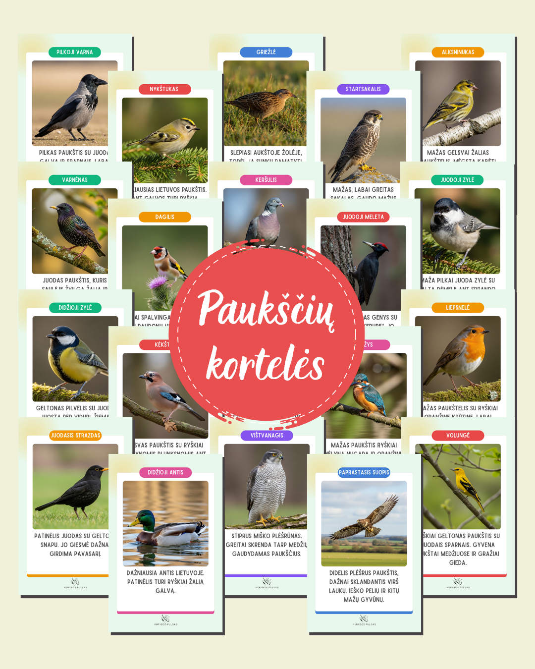 40-ties paukščių dienos kortelės 1–4 klasių mokiniams (PDF)